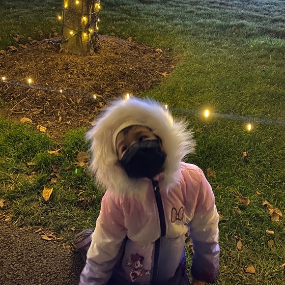 Meet your Posher, Bridget - Picture 5 of 5